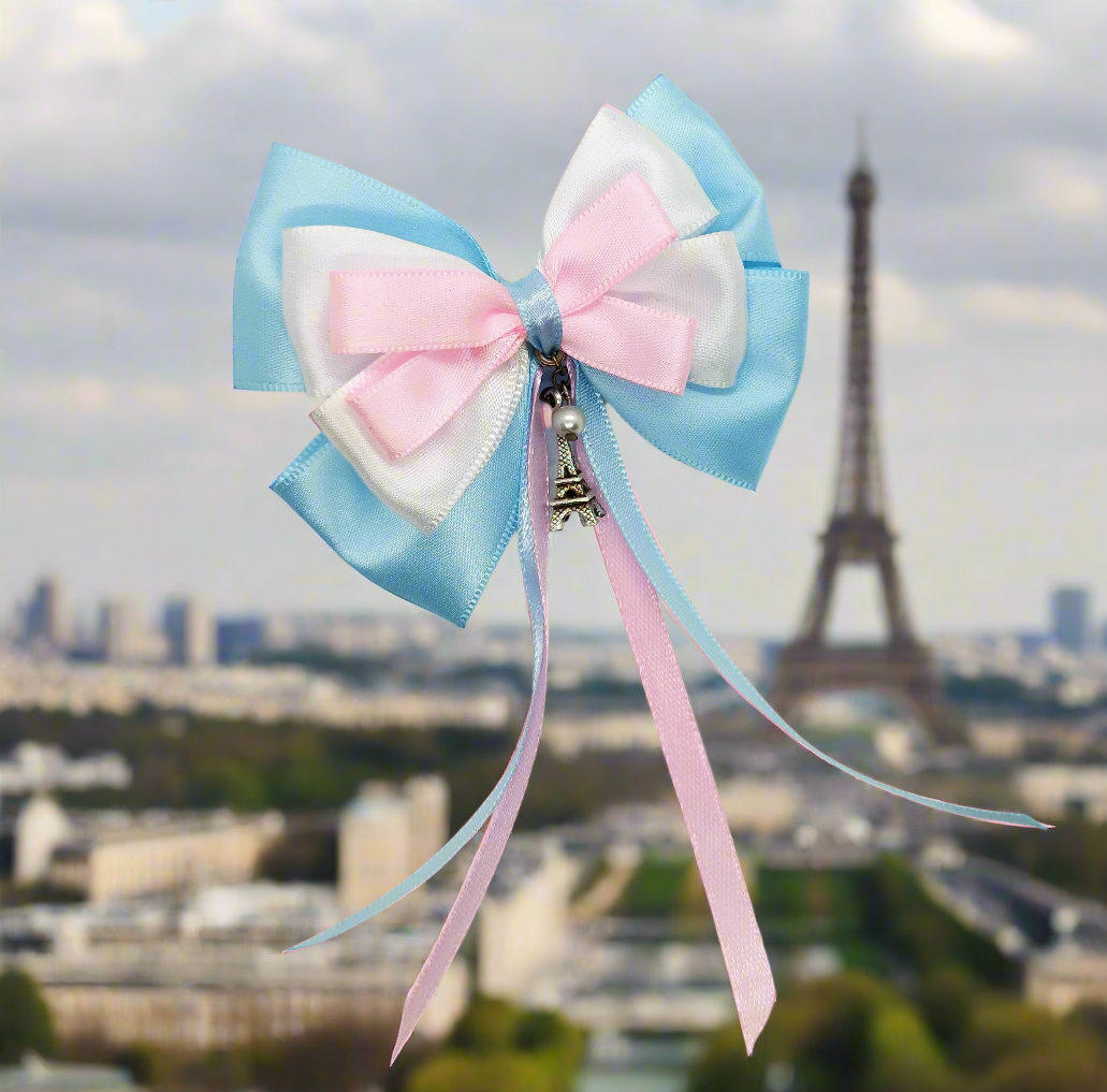 Paris hairclip